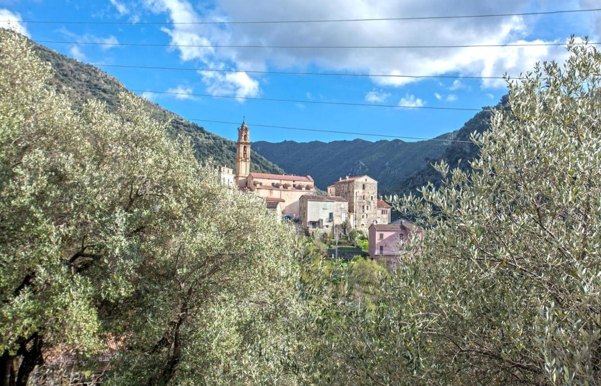 Apartmán Casa Torra Omessa Exteriér fotografie