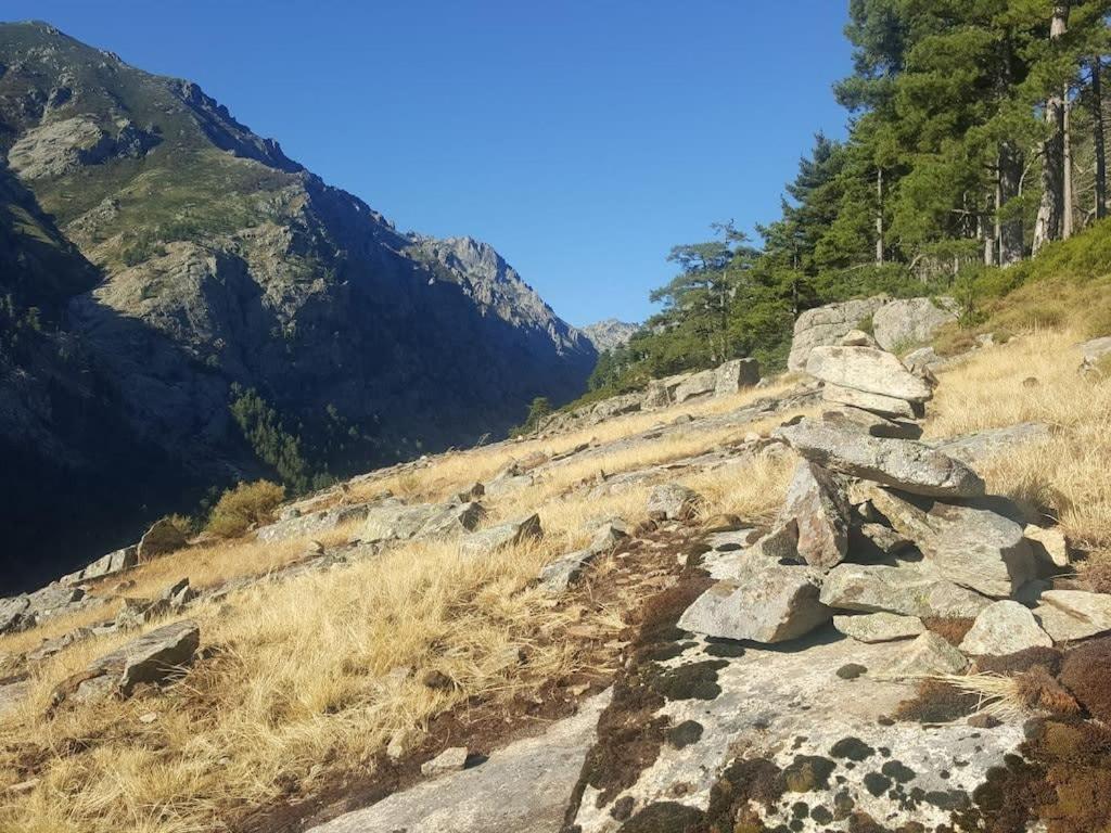 Apartmán Casa Torra Omessa Exteriér fotografie